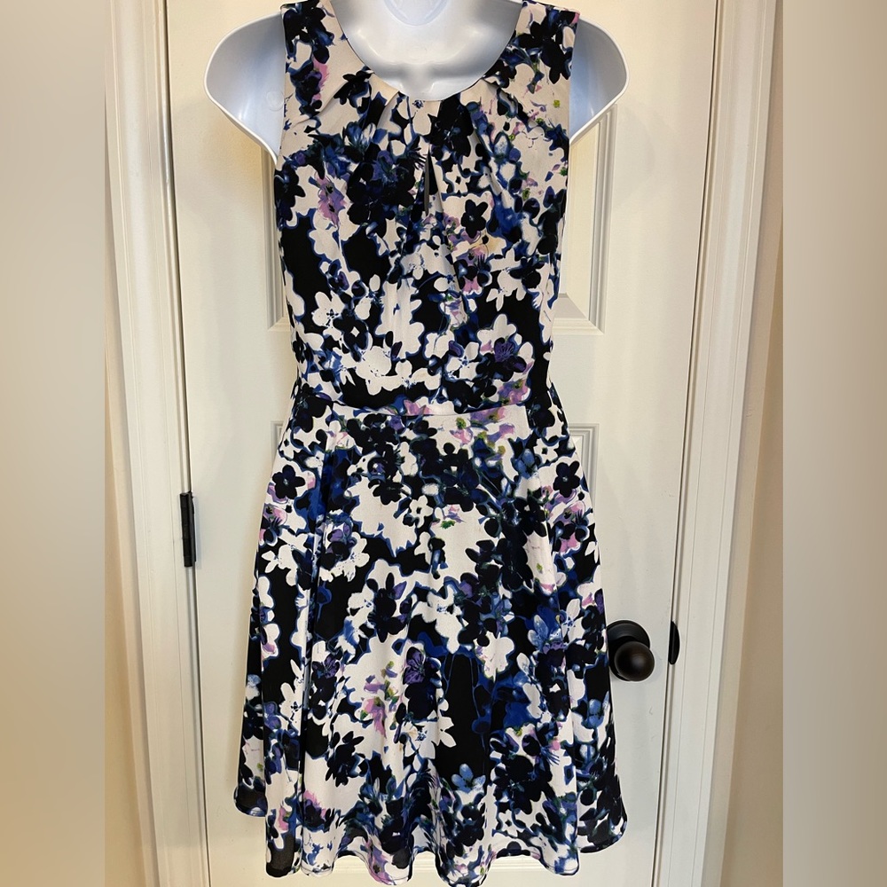 Express Spring Dress - Picture 3 of 4